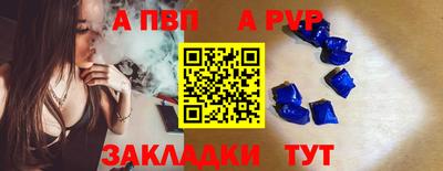 кокс Кингисепп