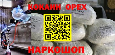 кокс Кингисепп