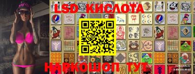 гашик Кимры