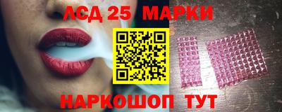 кокс Кингисепп