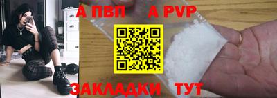 кокс Кингисепп