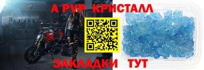 кокс Кингисепп