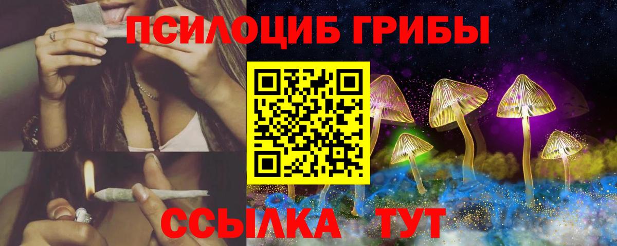Псилоцибиновые грибы Psilocybine cubensis  Вход с VPN  Тавда 